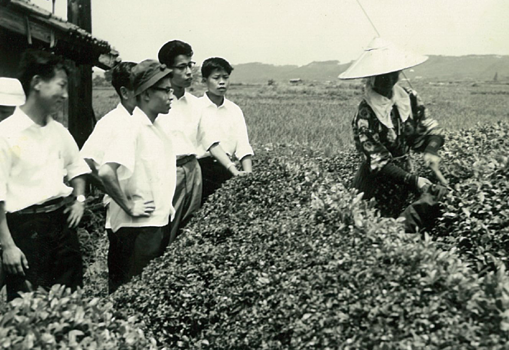 1946年 行商開始